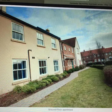 The Oystercatcher At The Bay, * Filey